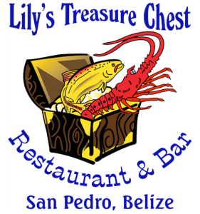 Lily's Treasure Chest